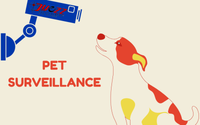 Three Great Benefits of a Pet Surveillance Camera