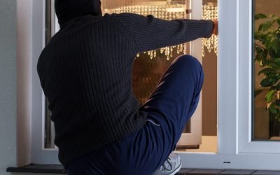How Burglars Choose Homes to Target