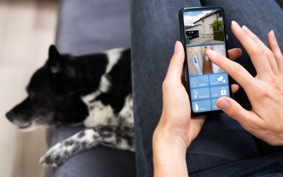 Why Pet Cameras are Important