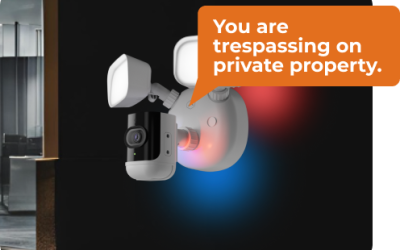 Introducing the Outdoor Floodlight Camera: A New Era in Business Security