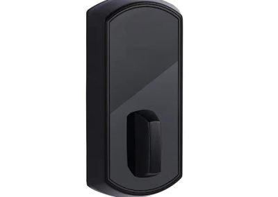 VIZpin